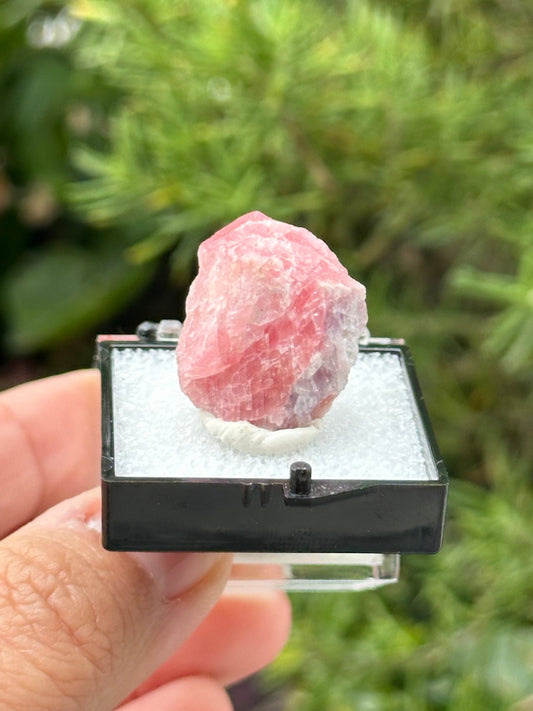 Rhodochrosite Specimen in a small perky box from Wutong Mine