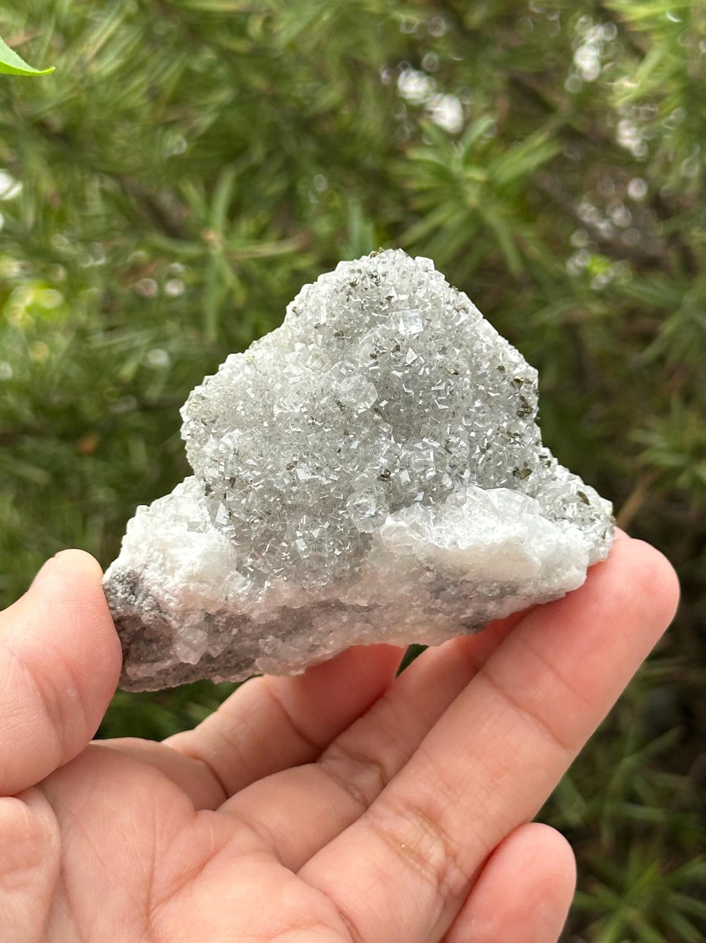 Calcite and Marcasite from the Linwood Mine